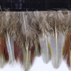 Ring-necked Pheasant Red Feathers Trim Fringe