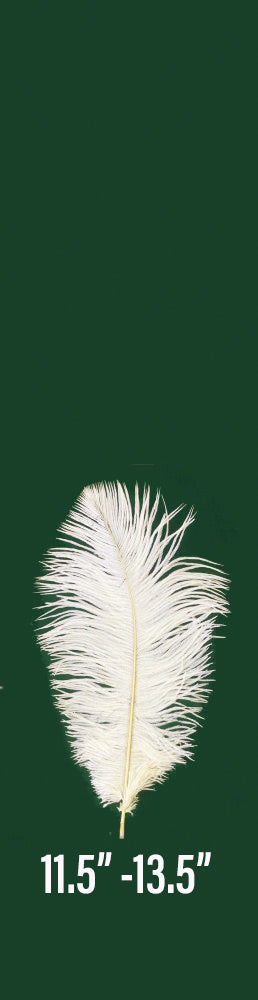 Ostrich drab Feathers Plumes 30cm-35cm