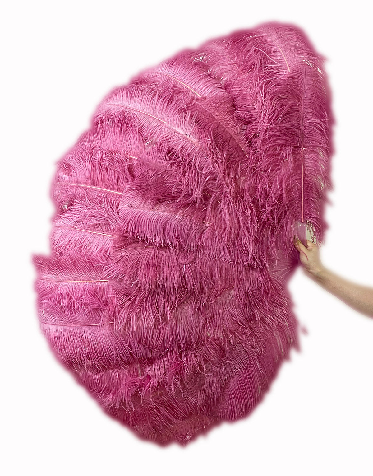 fuchsia Professional Triple Layers Ostrich Feather Fan 34"x 65"