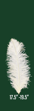 Load image into Gallery viewer, Prime Grade Ostrich feathers Wing Plume 45cm-50cm
