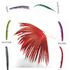 Custom color Luxury Tall huge Pheasant Feather Fan 37"x 69"