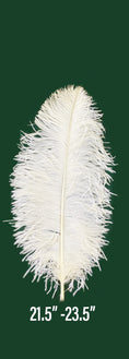 Load image into Gallery viewer, Prime Grade Ostrich feathers Wing Plume 55cm-60cm
