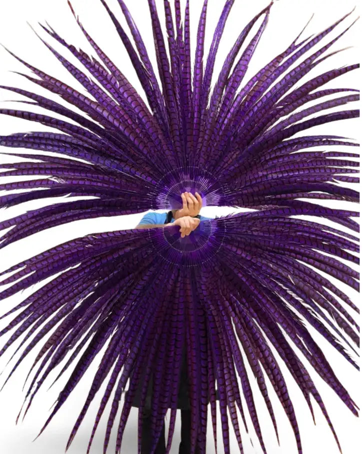 Ventaglio di piume di fagiano di lusso alto e grande, personalizzato 37"X 74"