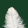 Large Prime Grade Ostrich feathers Wing Plume 65cm-70cm