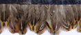 Load image into Gallery viewer, Hazelnut Ringneck Pheasant Feather Trim Fringe
