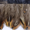 Hazelnut Ringneck Pheasant Feather Trim Fringe