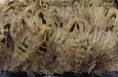 Load image into Gallery viewer, Pure Pheasant Yellow Feather Trim Fringe
