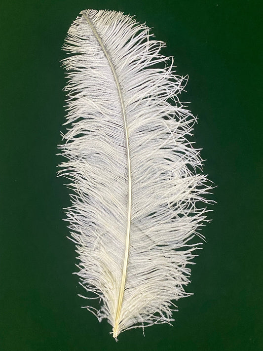 Large Prime Grade Ostrich feathers Wing Plume 70cm-75cm