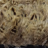 Pure Pheasant Yellow Feather Trim Fringe