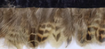 Load image into Gallery viewer, Pure Pheasant Yellow Feather Trim Fringe
