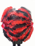 Load image into Gallery viewer, Custom Mix Alternating Color XL 2 Layers Ostrich Feather Fan 34"x60"
