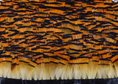 Load image into Gallery viewer, Natural Orange Golden Pheasant Feather Trim Fringe
