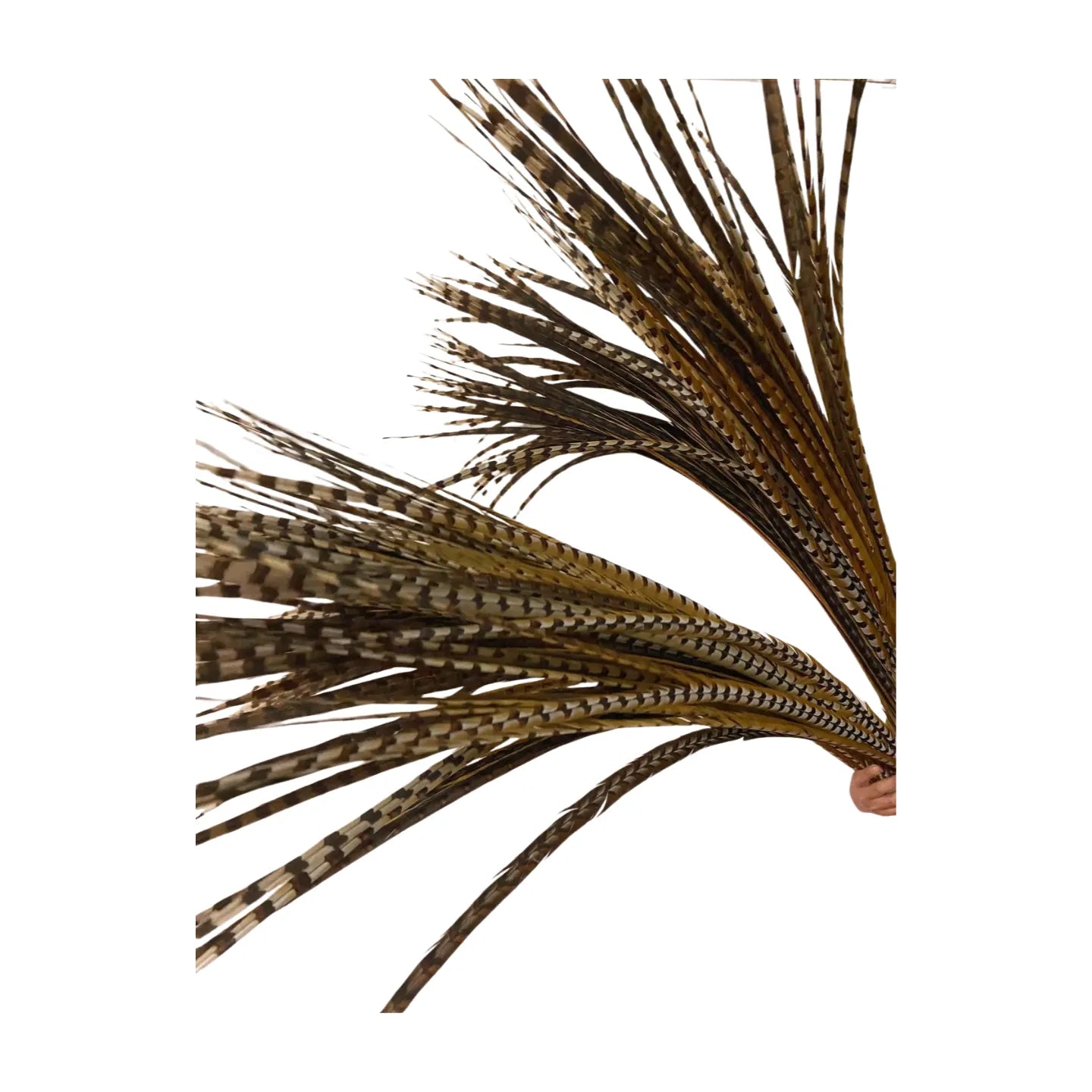 Oversized Luxury Pheasant Feather Fan – Handcrafted with Natural Venery Tails