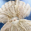 Custom colors Advanced XL 2 Layers Ostrich Feather Fan 34"x 60"