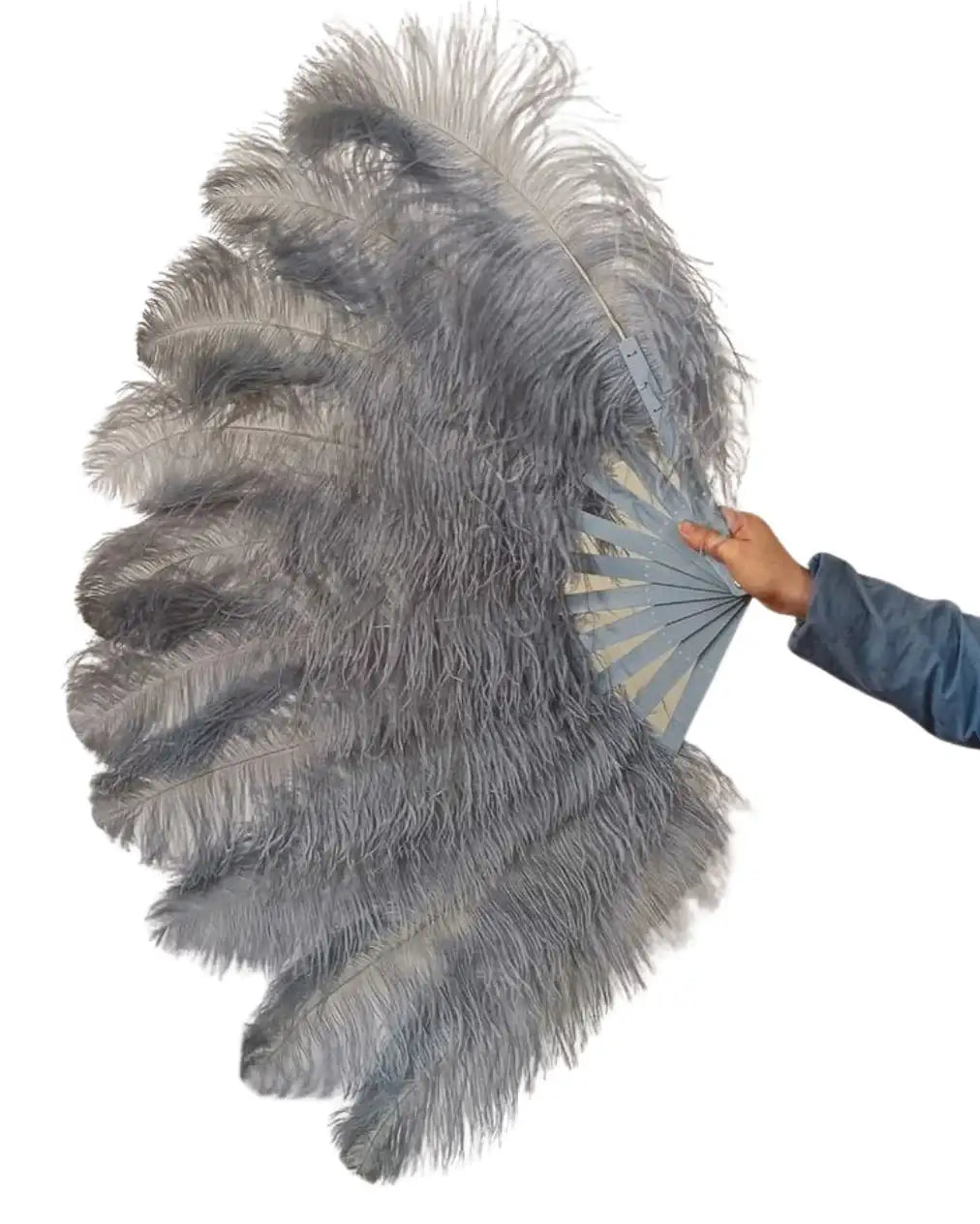 Una coppia di fanghi di struzzo di struzzi di grigio grigio scuro