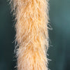 Luxurious Apricot 25 Ply Ostrich Feather Boa