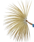 Carica l'immagine nel visualizzatore Galleria, Huge beige Ringneck Pheasant Tail Feathers Fan 43"x86"
