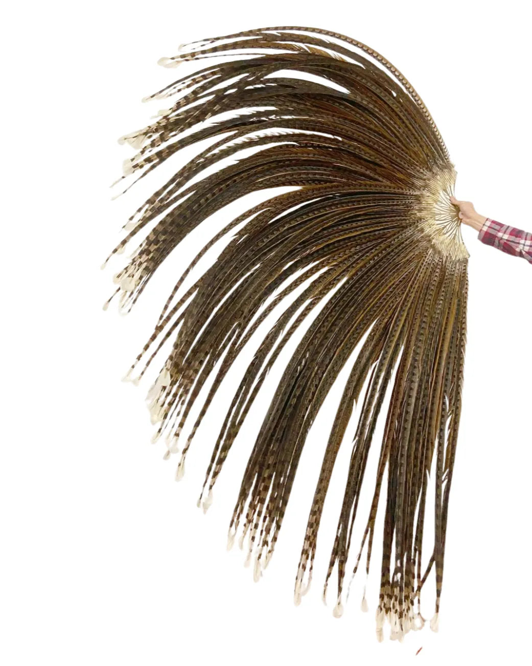 Oversized Luxury Pheasant Feather Fan – Handcrafted with Natural Venery Tails