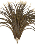 Load image into Gallery viewer, Oversized Luxury Pheasant Feather Fan – Handcrafted with Natural Venery Tails
