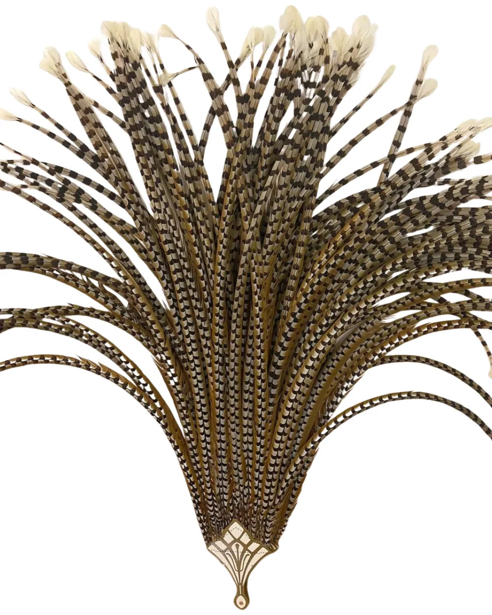 Oversized Luxury Pheasant Feather Fan – Handcrafted with Natural Venery Tails