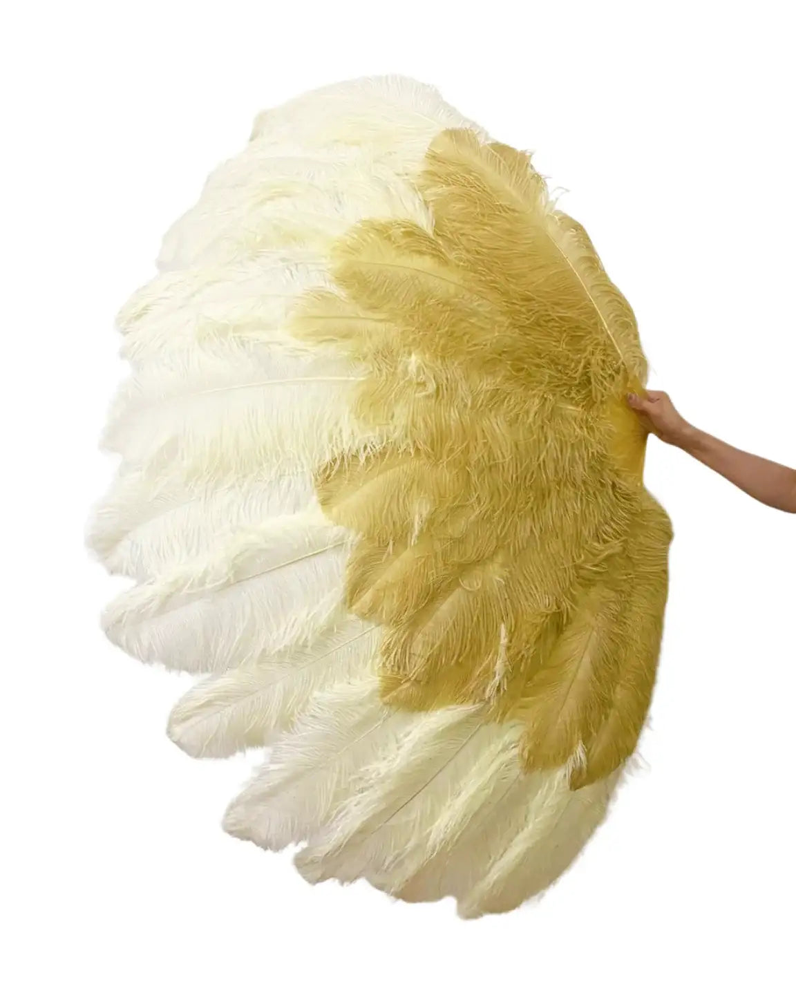 Éventail en plumes d'autruche à 2 couches XXL 38"x64"
