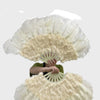 Abanico de plumas de avestruz de marabú beige de 21&quot;x 38&quot; con bolsa de viaje de cuero.