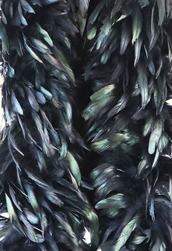 Black Lightweight Coque Schlappen feathers Boa