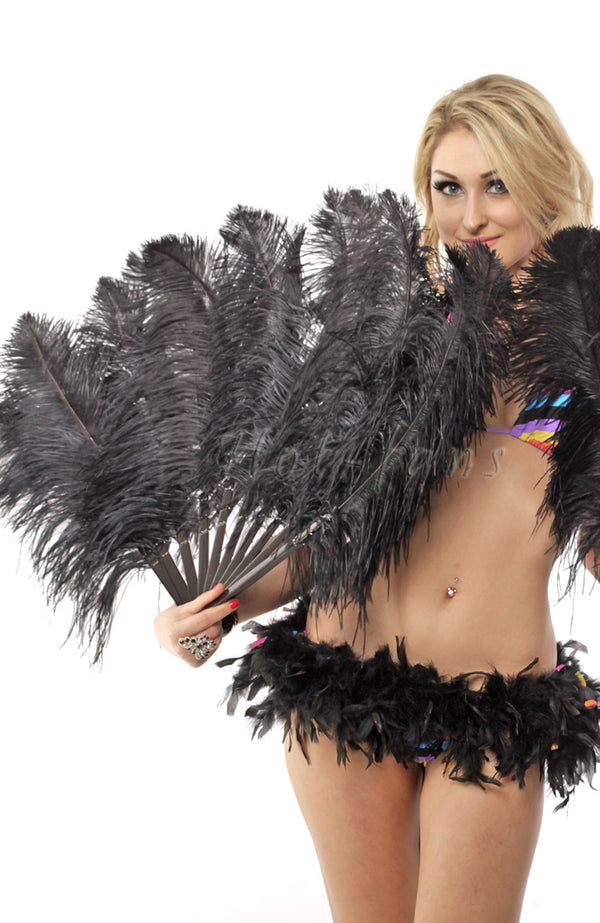 Custom color Single layer Beginner’s Ostrich Feather Fan 25