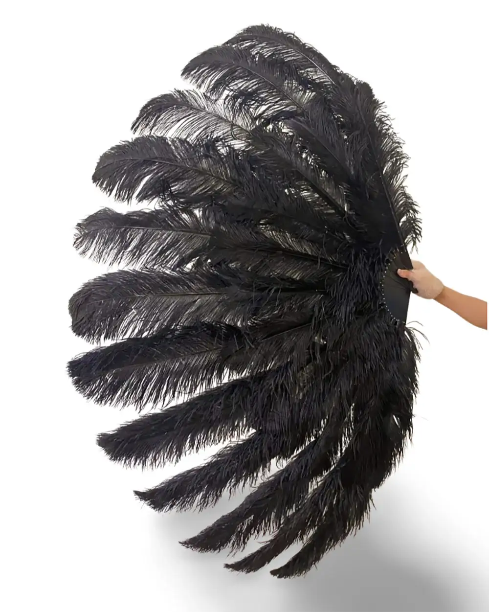 Éventail en plumes d'autruche noir XXL à 2 couches, à augmentation avancée 38"x64"