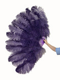 Load image into Gallery viewer, Advanced Blackberry XL 2 Layers Ostrich Feather Fan 34"x 60"
