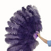 Advanced Blackberry XL 2 Layers Ostrich Feather Fan 34"x 60"