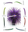 Load image into Gallery viewer, Custom color artistic huge Tall Pheasant Feather fan 38"x 80"
