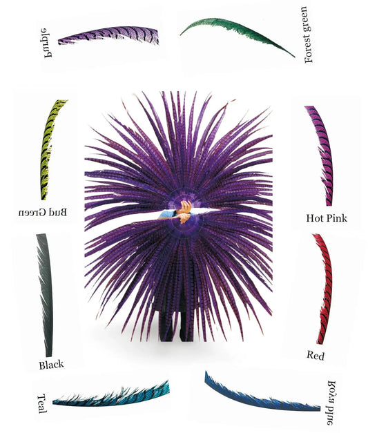 Custom color Luxury Tall huge Pheasant Feather Fan 37"x 74"