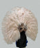 XL 2 слоя песка пустыни веер из страусиных перьев 34 x 60 дюймов с дорожной кожаной сумкой.