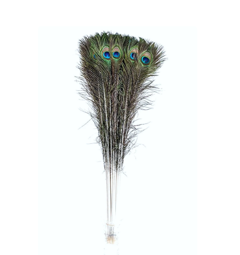 Natural Peacock Tail Feathers