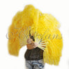 A pair Custom color Single layer Beginner’s Ostrich Feather Fan