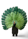 Load image into Gallery viewer, Custom U/D Color XL 2 Layers Ostrich Feather Fan 34"x60"
