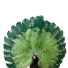 Custom U/D Color XL 2 Layers Ostrich Feather Fan 34"x60"