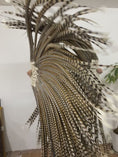 Load and play video in Gallery viewer, Oversized Luxury Pheasant Feather Fan – Handcrafted with Natural Venery Tails
