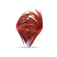 Load image into Gallery viewer, Custom color Luxury Tall huge Pheasant Feather Fan 37"x 69"
