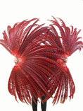 Load image into Gallery viewer, Red huge Tall Pheasant Feather Fan Burlesque Perform Friend.
