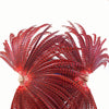 Red huge Tall Pheasant Feather Fan Burlesque Perform Friend.