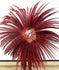 Red huge Tall Pheasant Feather Fan Burlesque Perform Friend.