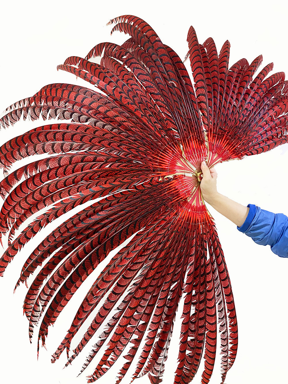 Red huge Tall Pheasant Feather Fan Burlesque Perform Friend.