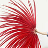 Huge Red Ringneck Pheasant Tail Feathers Fan Burlesque Perform Friend.