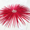 Huge Red Ringneck Pheasant Tail Feathers Fan Burlesque Perform Friend.