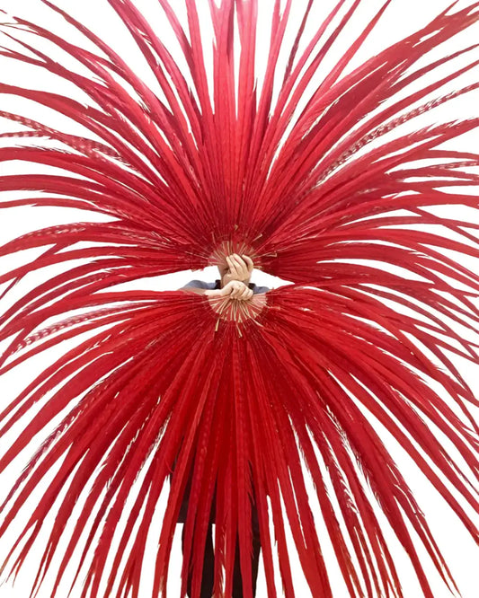 Huge Red Ringneck Pheasant Tail Feathers Fan 43"x86"