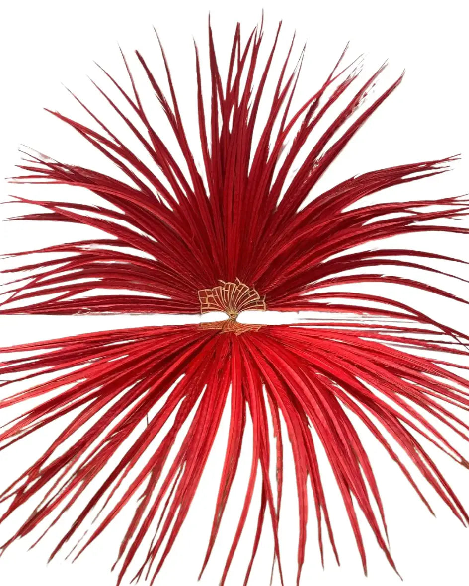 Enorme ventaglio di piume di coda di fagiano dal collo ad anello rosso 43"X86"