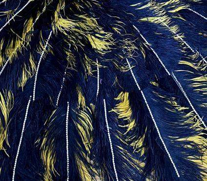 Rhinestone on the feather spines - hotfans