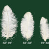 Ostrich drab Feathers Plumes 30cm-35cm